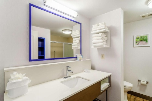 Hampton Inn By Hilton & Suites Chicago-Libertyville image 17